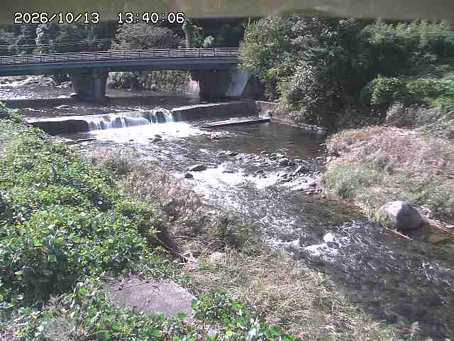 八東川８2026/10/13 14:30:00
