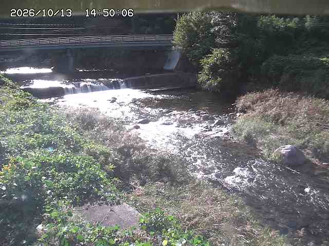 八東川８2026/10/13 14:30:00
