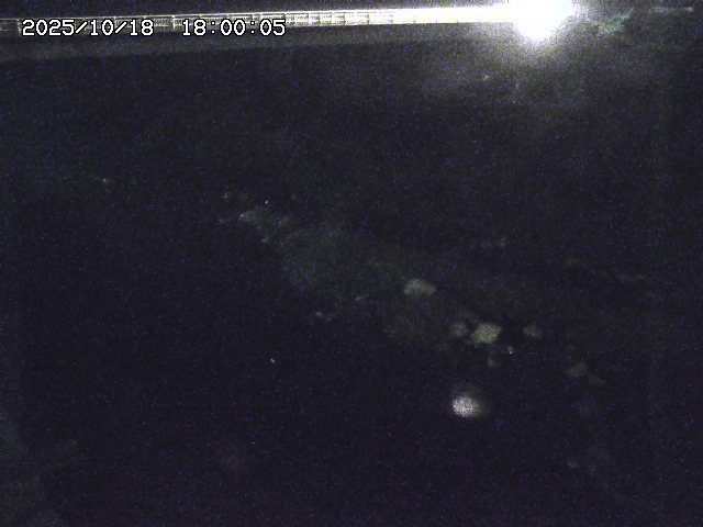 千代川４2025/10/18 20:30:00