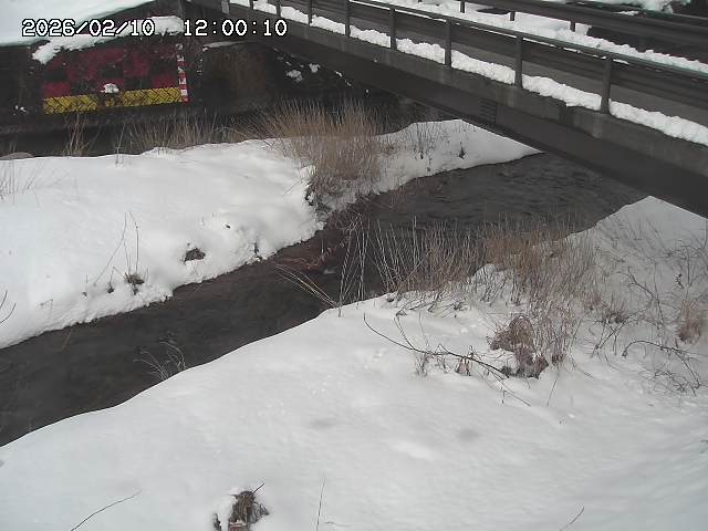 土師川２2026/02/11 3:40:00