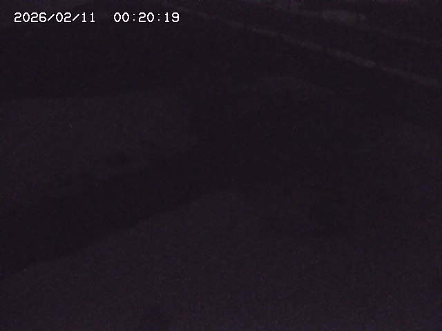 土師川２2026/02/11 3:40:00