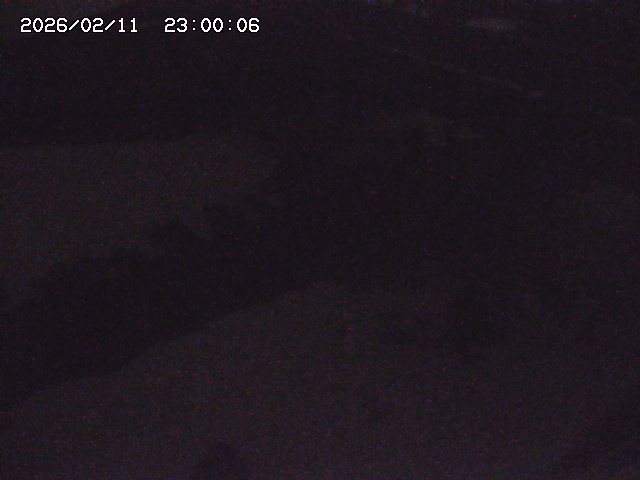 土師川２2026/02/12 18:50:00