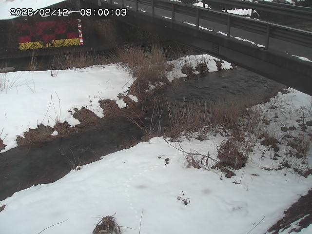 土師川２2026/02/12 18:50:00