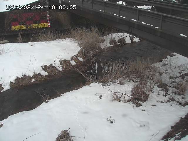 土師川２2026/02/12 18:50:00