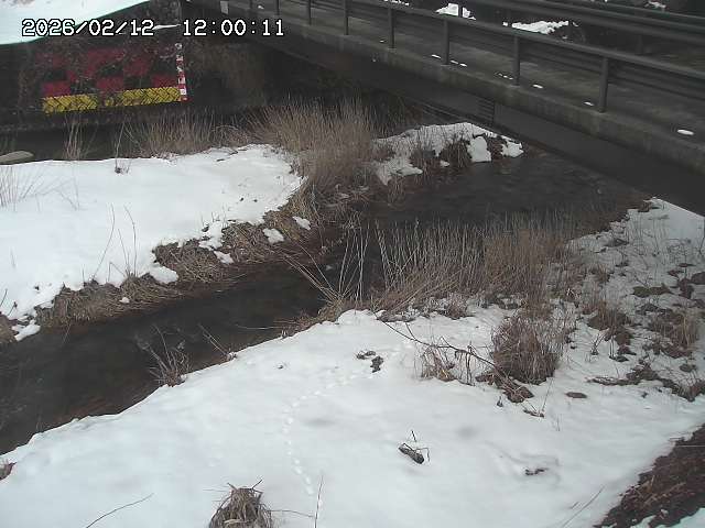 土師川２2026/02/12 18:50:00