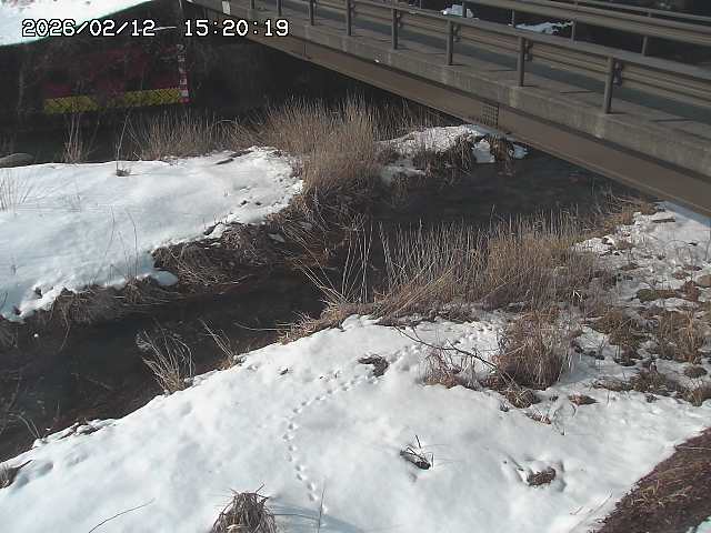 土師川２2026/02/12 18:50:00