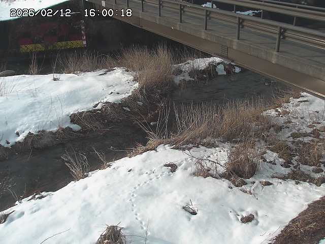 土師川２2026/02/12 18:50:00