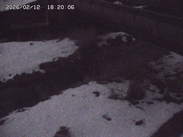 土師川２2026/02/12 18:50:00