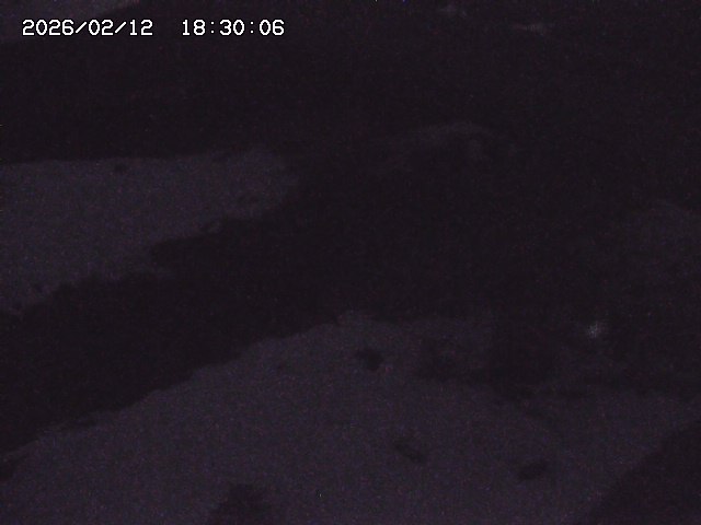 土師川２2026/02/12 18:50:00