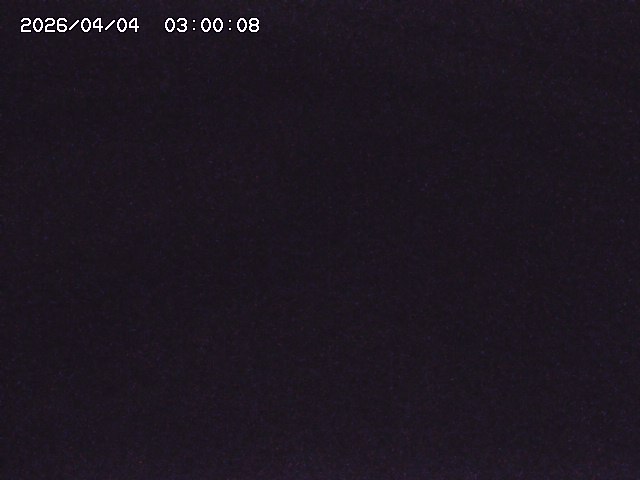 土師川２2026/04/05 3:30:00