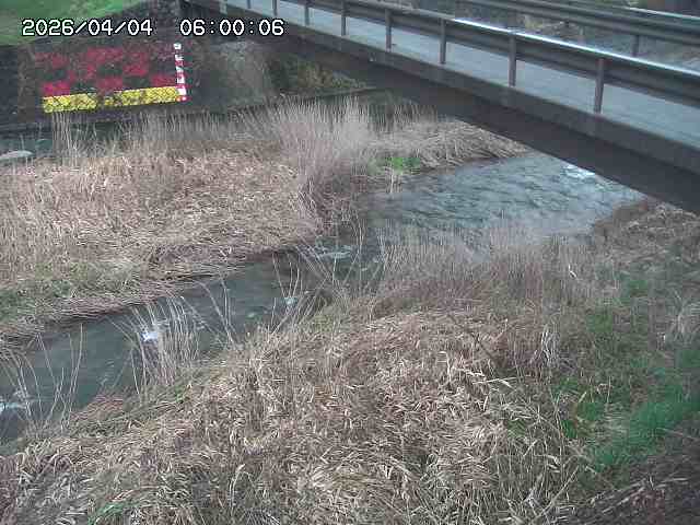 土師川２2026/04/05 3:30:00