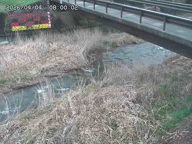 土師川２2026/04/05 3:30:00