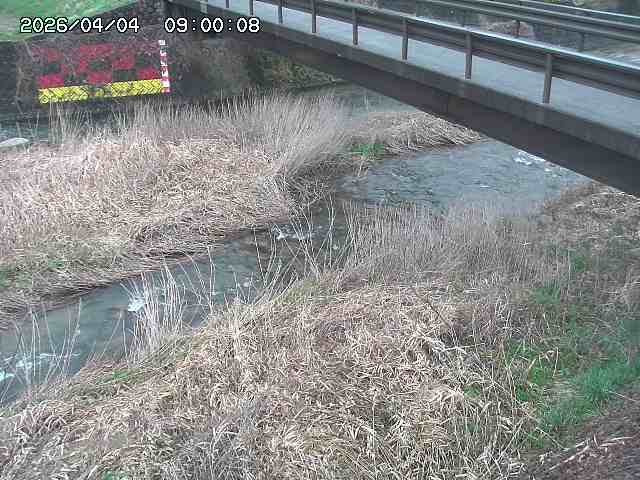 土師川２2026/04/05 3:30:00