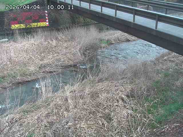 土師川２2026/04/05 3:30:00