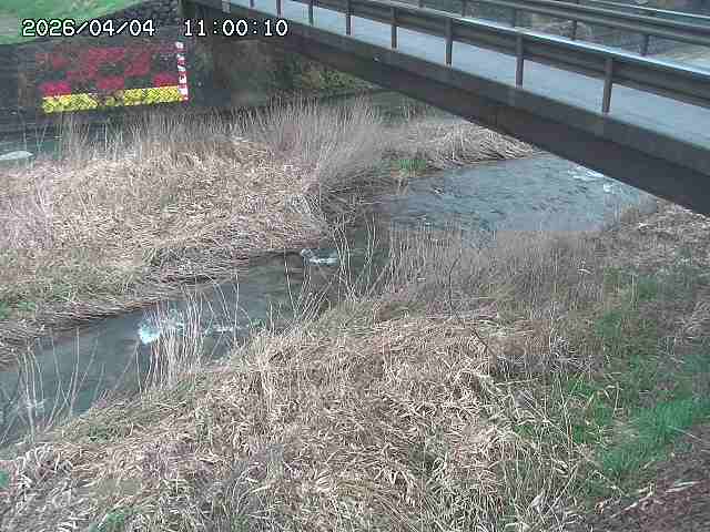 土師川２2026/04/05 3:30:00