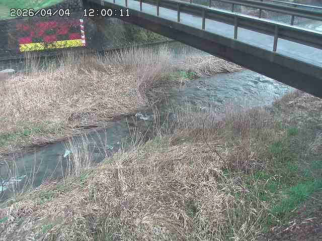 土師川２2026/04/05 3:30:00