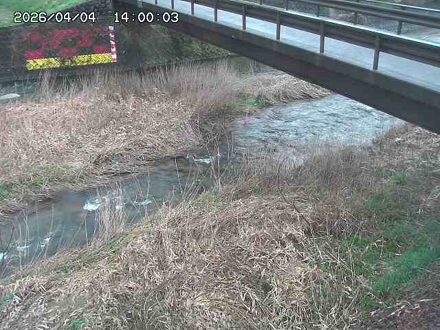 土師川２2026/04/05 3:30:00