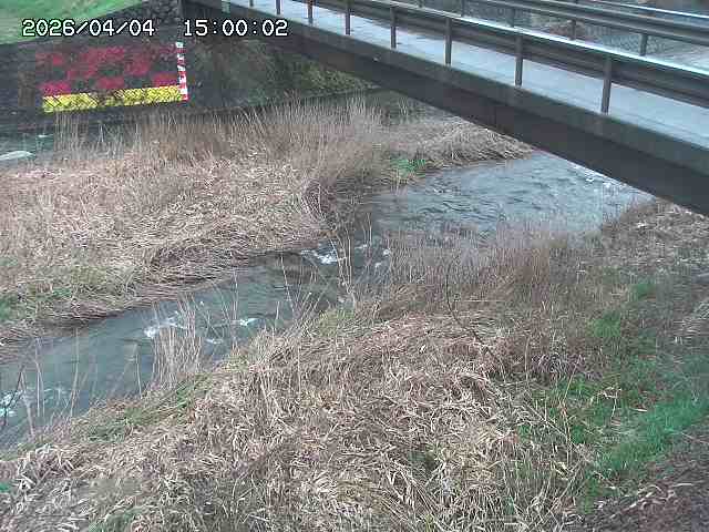 土師川２2026/04/05 3:30:00