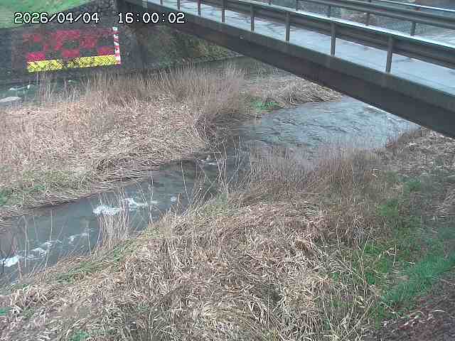 土師川２2026/04/05 3:30:00