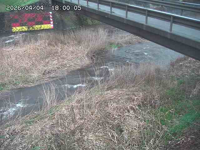 土師川２2026/04/05 3:30:00