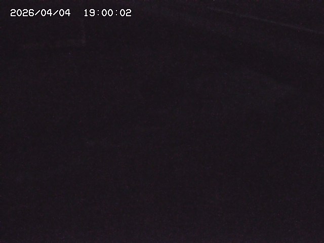 土師川２2026/04/05 3:30:00