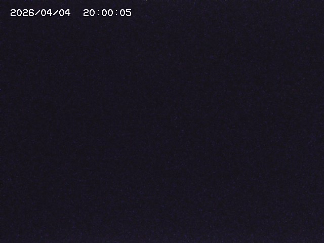 土師川２2026/04/05 3:30:00