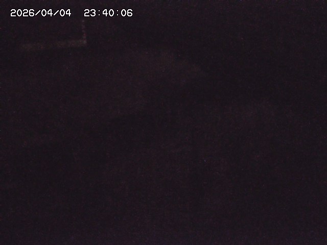 土師川２2026/04/05 3:30:00