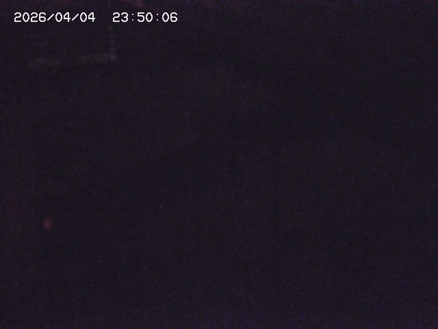 土師川２2026/04/05 3:30:00