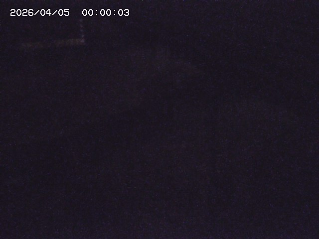 土師川２2026/04/05 3:30:00