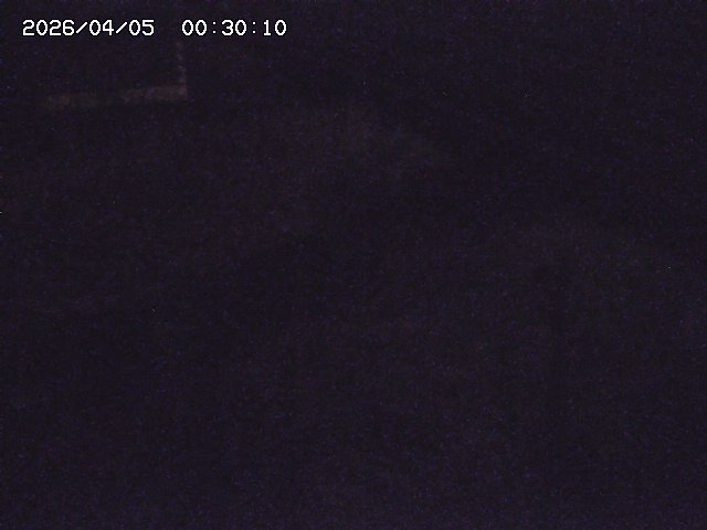 土師川２2026/04/05 3:30:00