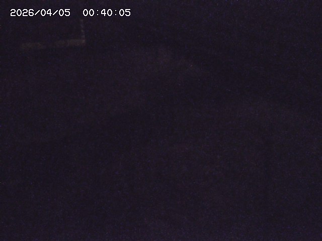 土師川２2026/04/05 3:30:00