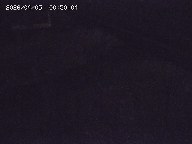 土師川２2026/04/05 3:30:00