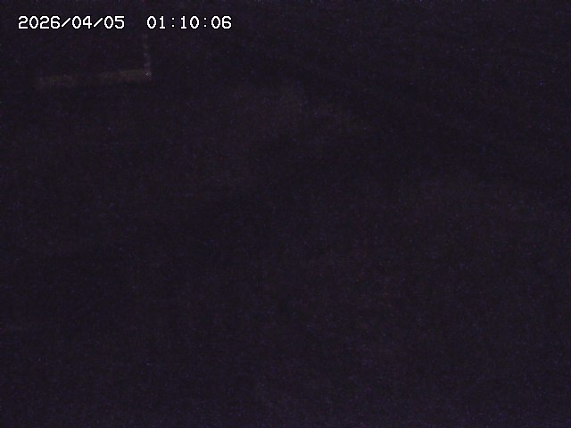 土師川２2026/04/05 3:30:00