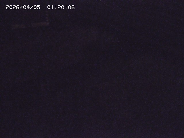 土師川２2026/04/05 3:30:00