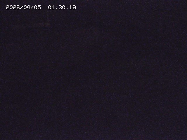 土師川２2026/04/05 3:30:00