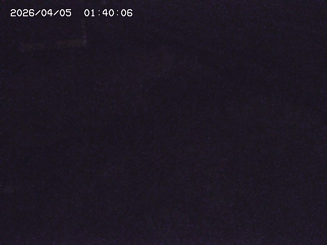 土師川２2026/04/05 3:30:00