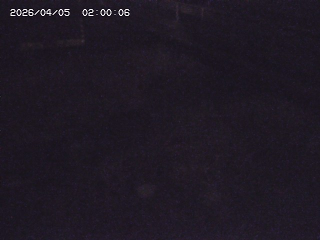 土師川２2026/04/05 3:30:00