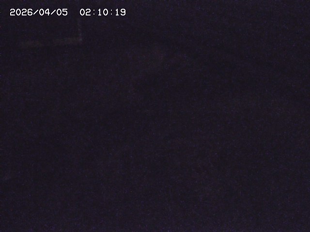 土師川２2026/04/05 3:30:00