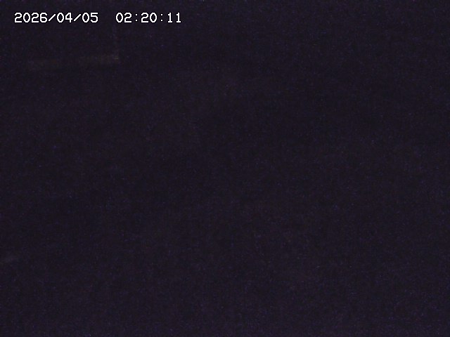 土師川２2026/04/05 3:30:00