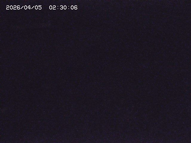 土師川２2026/04/05 3:30:00