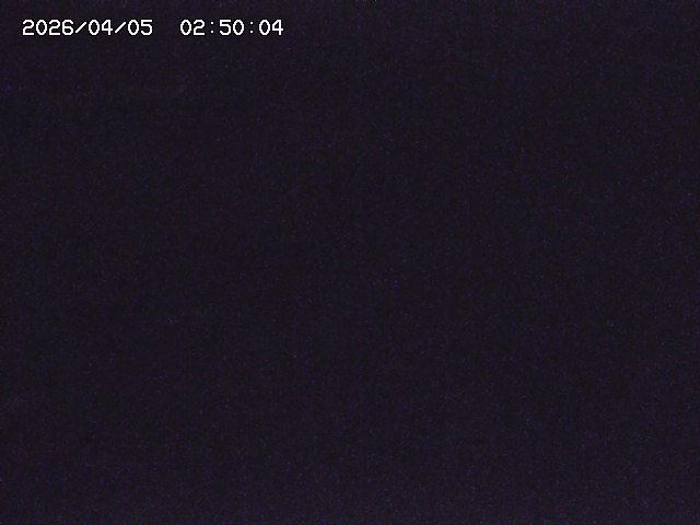 土師川２2026/04/05 3:30:00