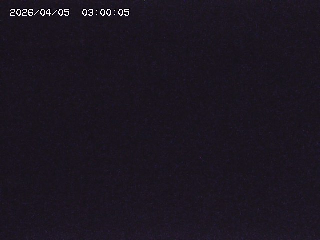 土師川２2026/04/05 3:30:00