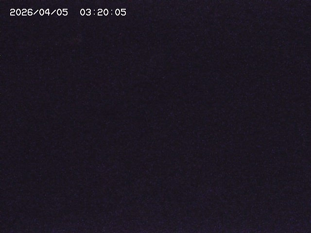 土師川２2026/04/05 3:30:00