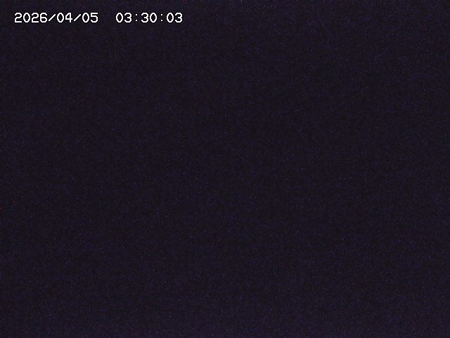 土師川２2026/04/05 3:30:00