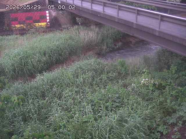 土師川２2026/05/30 3:30:00