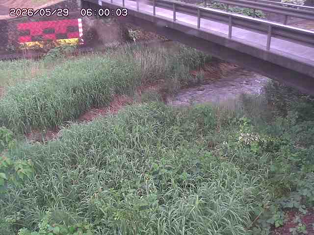 土師川２2026/05/30 3:30:00