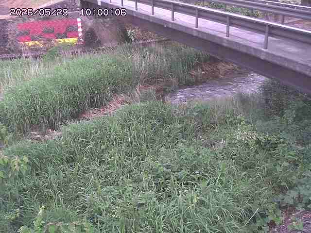 土師川２2026/05/30 3:30:00