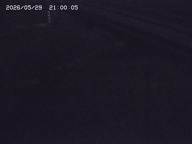 土師川２2026/05/30 3:30:00