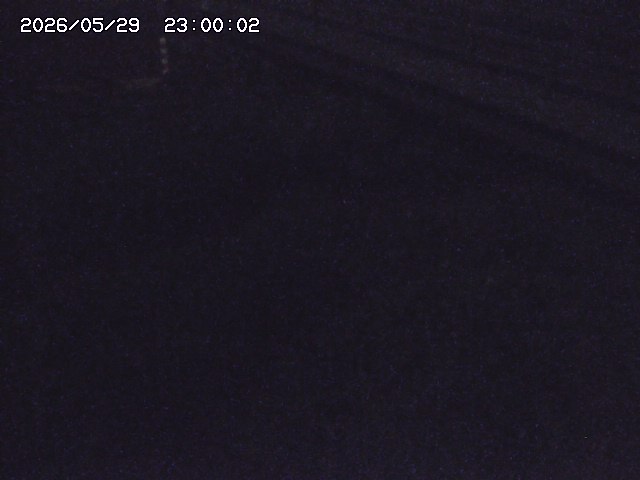 土師川２2026/05/30 3:30:00