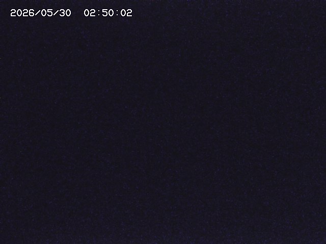 土師川２2026/05/30 3:30:00